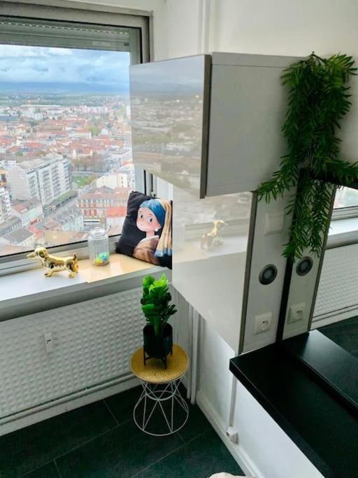 Grand Appartement 2 Chambres 5 Pers Max, Vue Panoramique Avec Parking Mulhouse Esterno foto