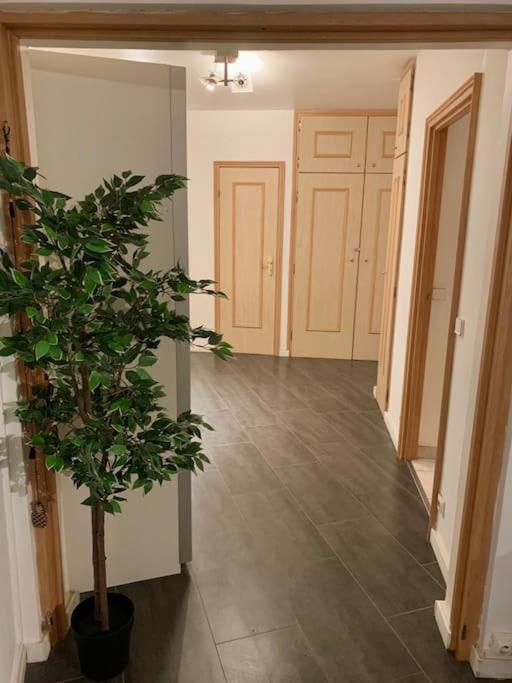 Grand Appartement 2 Chambres 5 Pers Max, Vue Panoramique Avec Parking Mulhouse Esterno foto